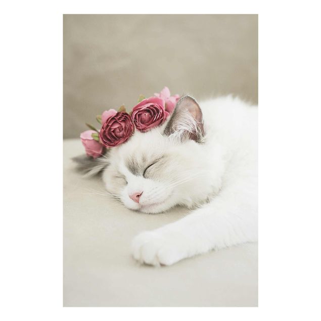 Tableaux modernes Chat endormi avec des roses