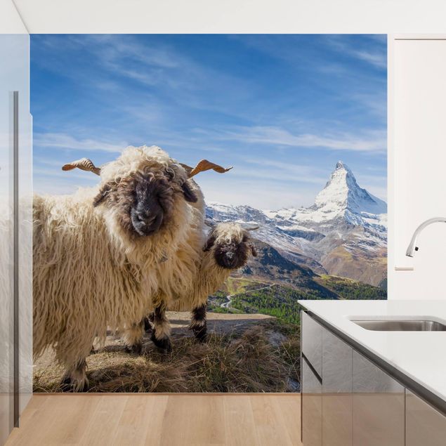 Déco murale cuisine Moutons à nez noir de Zermatt