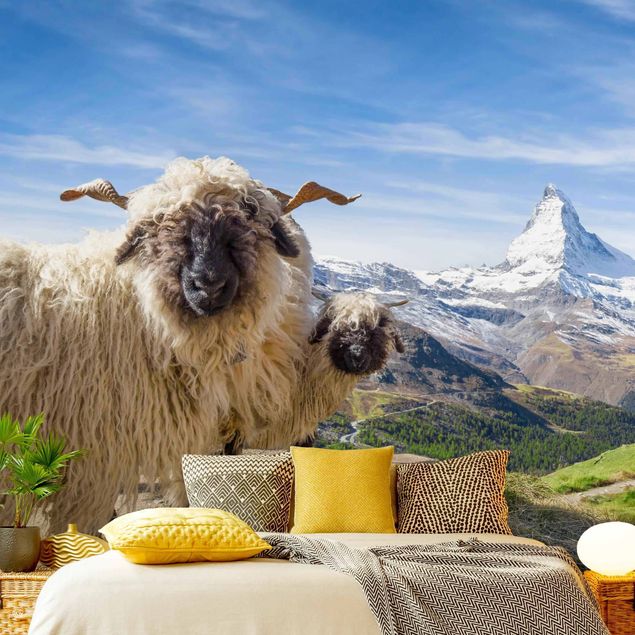 Papier peint montagnes Moutons à nez noir de Zermatt