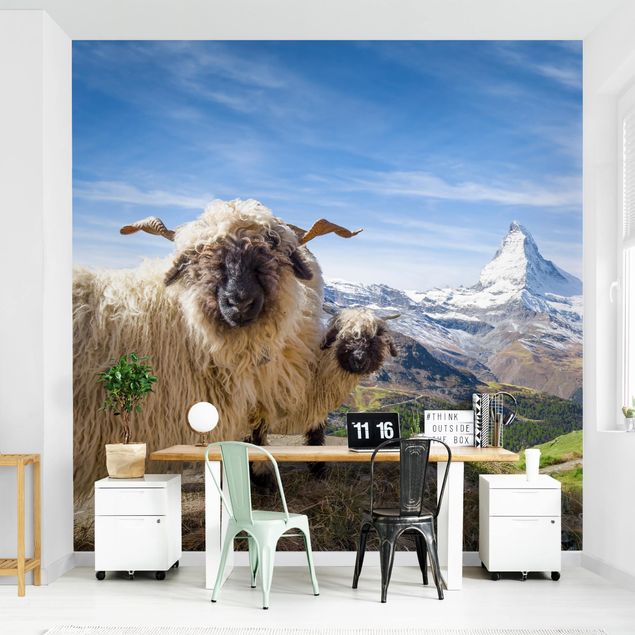 Papiers peints modernes Moutons à nez noir de Zermatt
