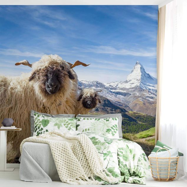 Papier peint animaux forêt Moutons à nez noir de Zermatt