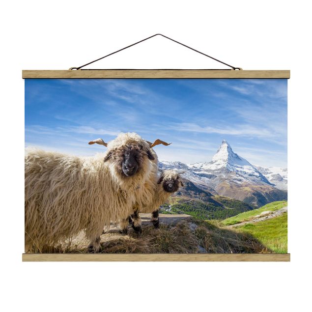 Tableaux Suisse Moutons à nez noir de Zermatt
