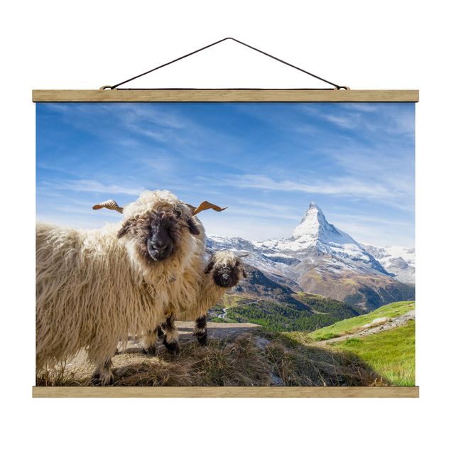 Tableau Suisse Moutons à nez noir de Zermatt