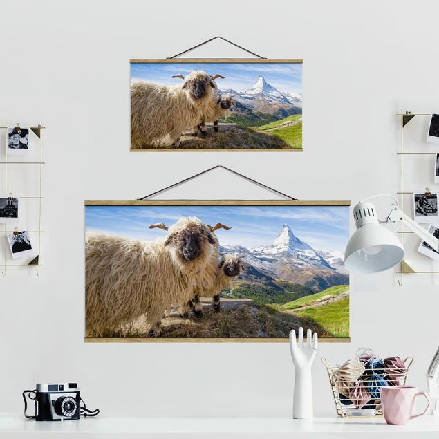 Tableaux animaux Moutons à nez noir de Zermatt