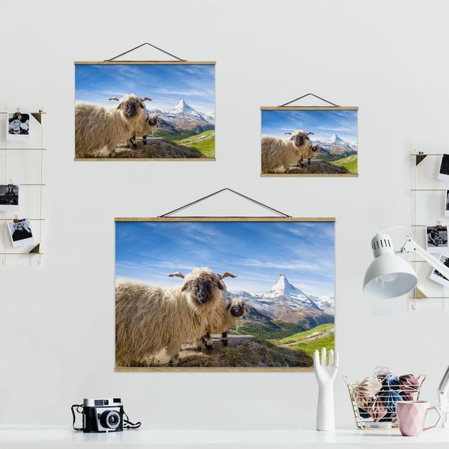Cadre animaux Moutons à nez noir de Zermatt