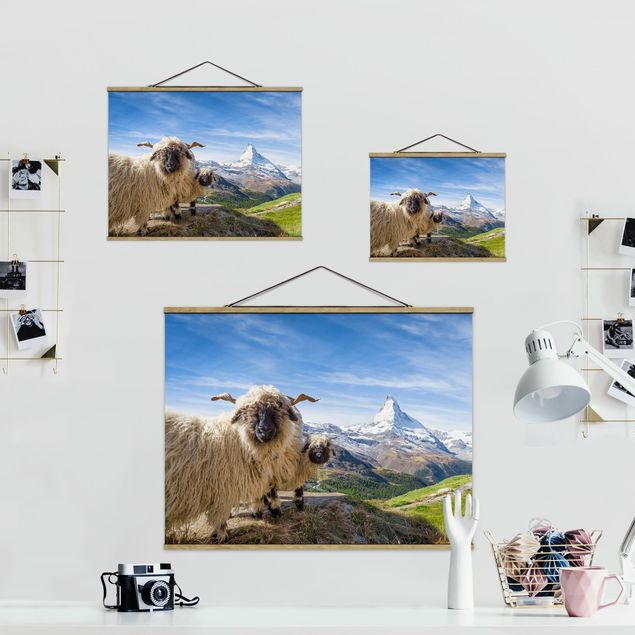 Tableau animaux Moutons à nez noir de Zermatt