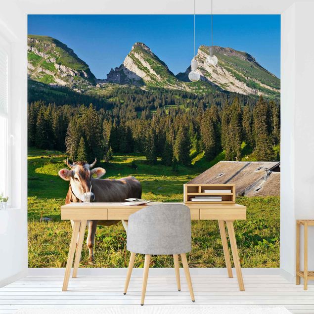Papier peint panoramique forêt Prairie alpine suisse avec vache