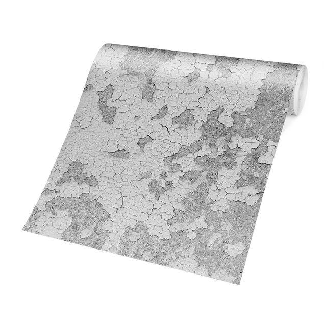 Papiers peints gris Plâtre shabby en gris