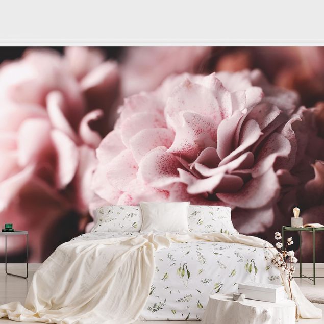Papier peint moderne Rose Pastel Shabby Pink