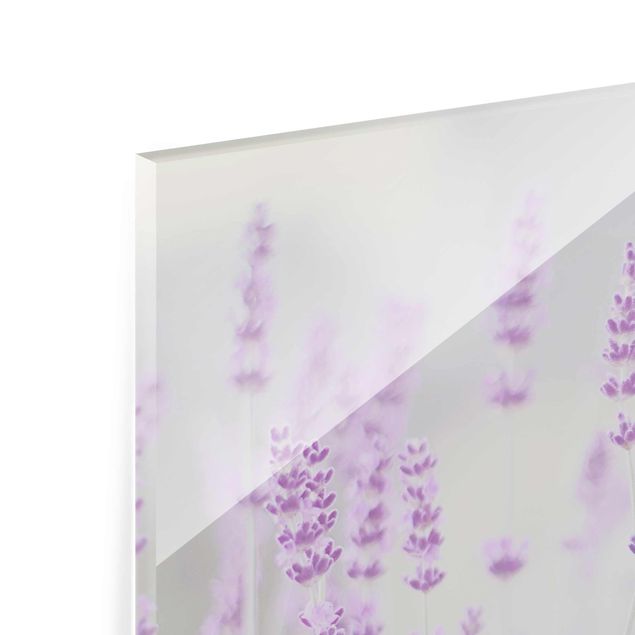 Tableaux en verre magnétique Summer In A Field Of Lavender