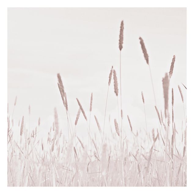 papier peint xxl Summerly Reed Grass