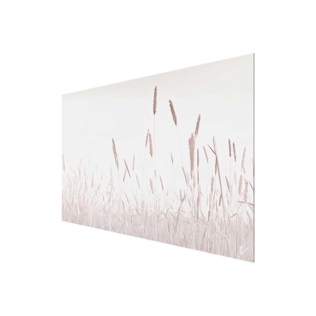 Tableaux en verre magnétique Summerly Reed Grass