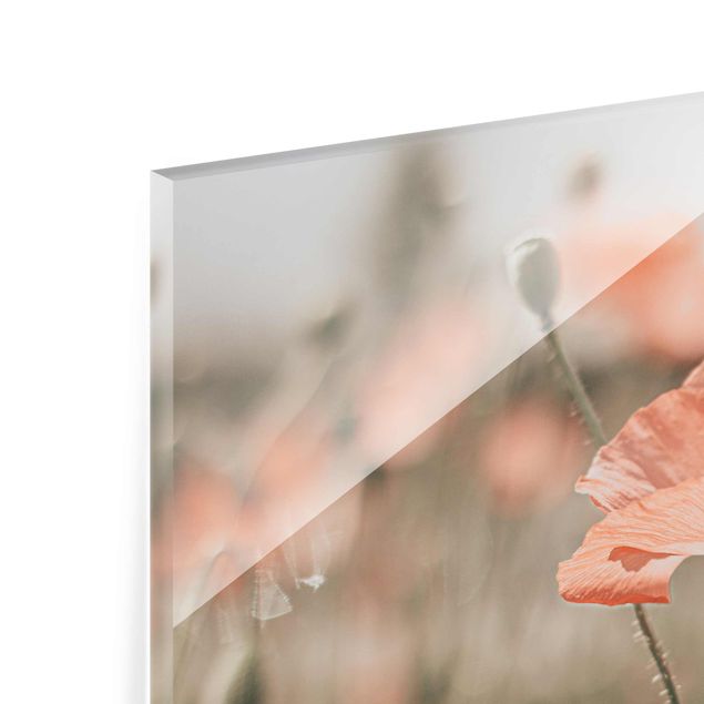 Tableau rouge Sun-Kissed Poppy Fields
