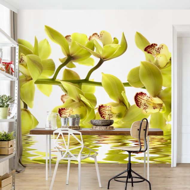 Papier peint orchidées Splendide eau d'orchidée