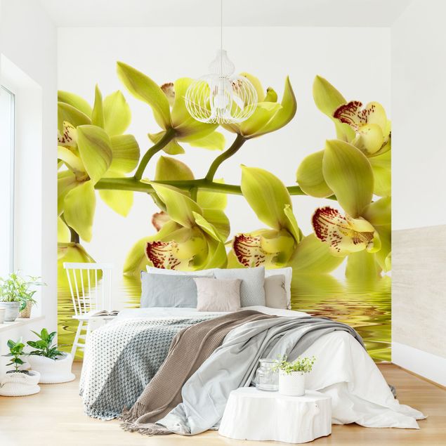 Papier peint moderne Splendide eau d'orchidée