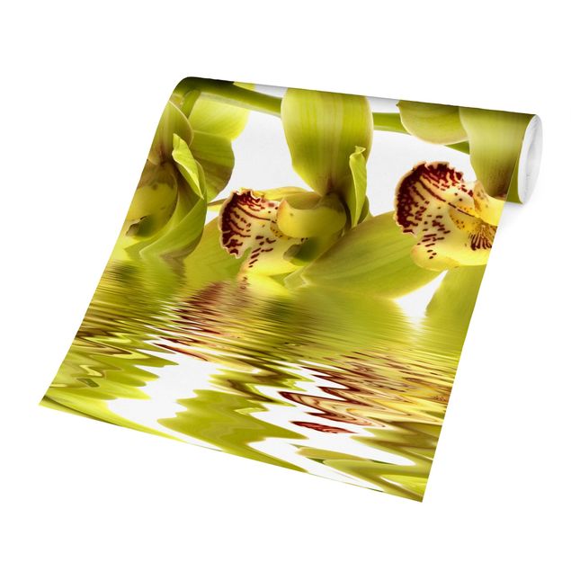 Papier peint panoramique Splendide eau d'orchidée
