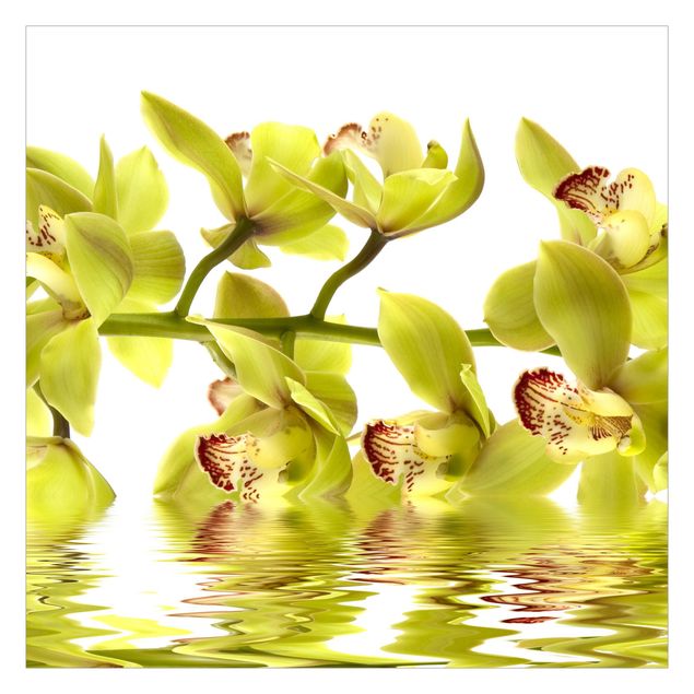 Papier peint - Splendid Orchid Waters