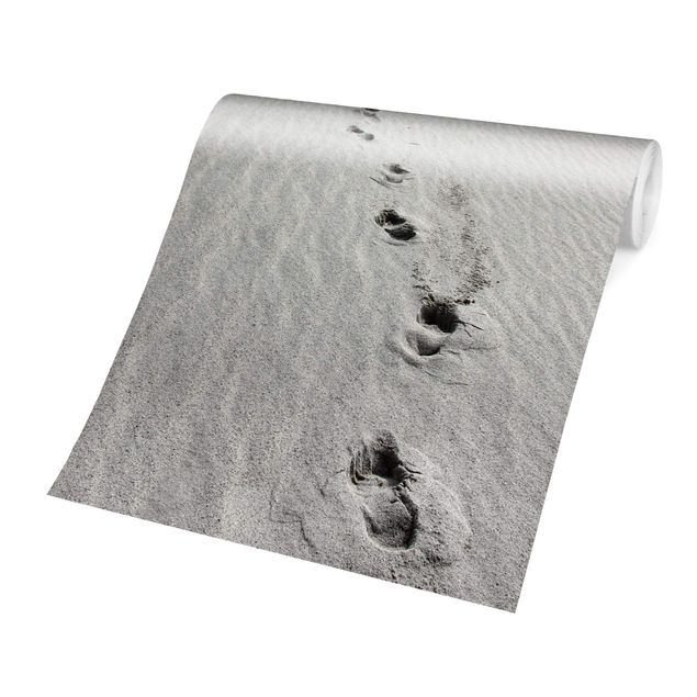 Papier peint panoramique paysage Traces dans le sable