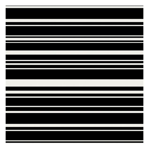 tapisserie panoramique Stripes On Black Backdrop