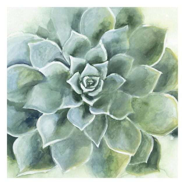 Papier peint - Succulent Plant Watercolour Dark