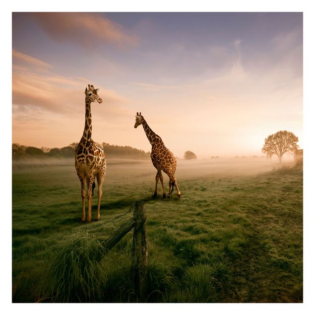 Papier peint panoramique paysage Surreal Giraffes
