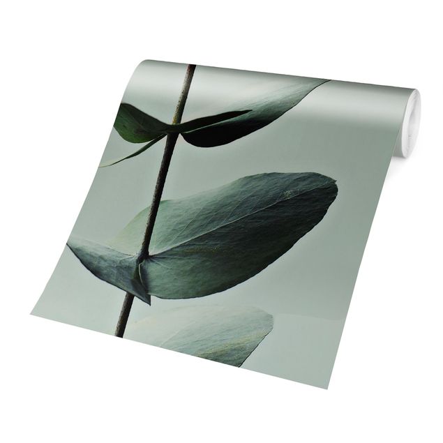 papier peint xxl Brindille symétrique d'eucalytus