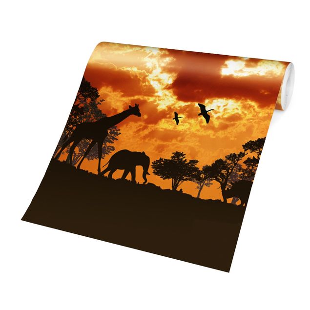 Papier peint coucher de soleil Coucher de soleil en Tanzanie