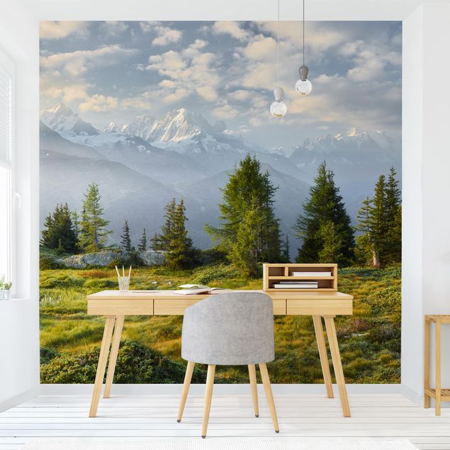 Papier peint forêt Émosson Wallis Suisse