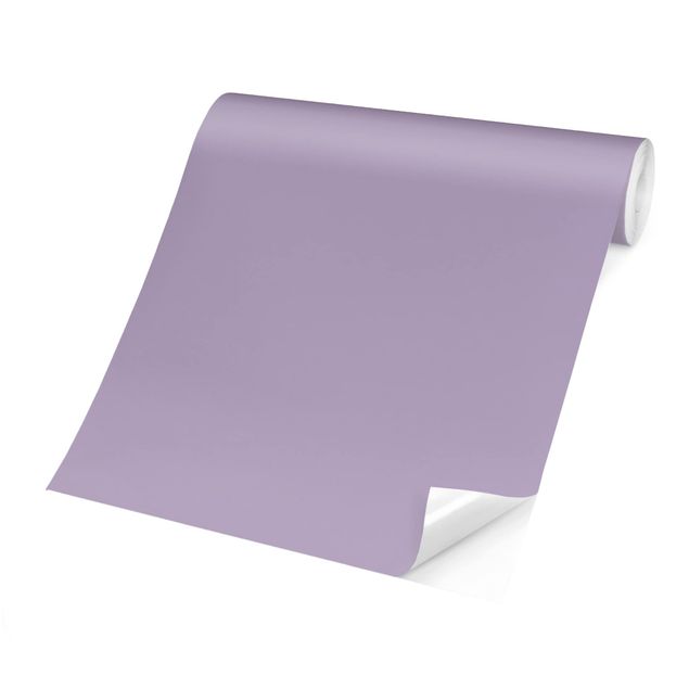 Papier peint - Lavender