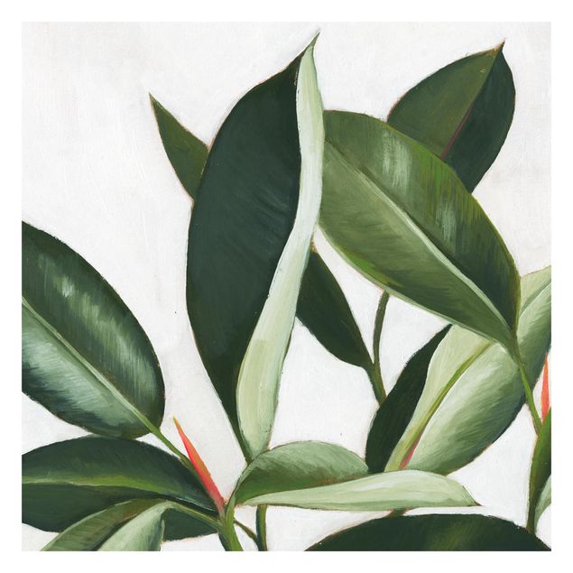 Papier peint - Favorite Plants - Rubber Tree