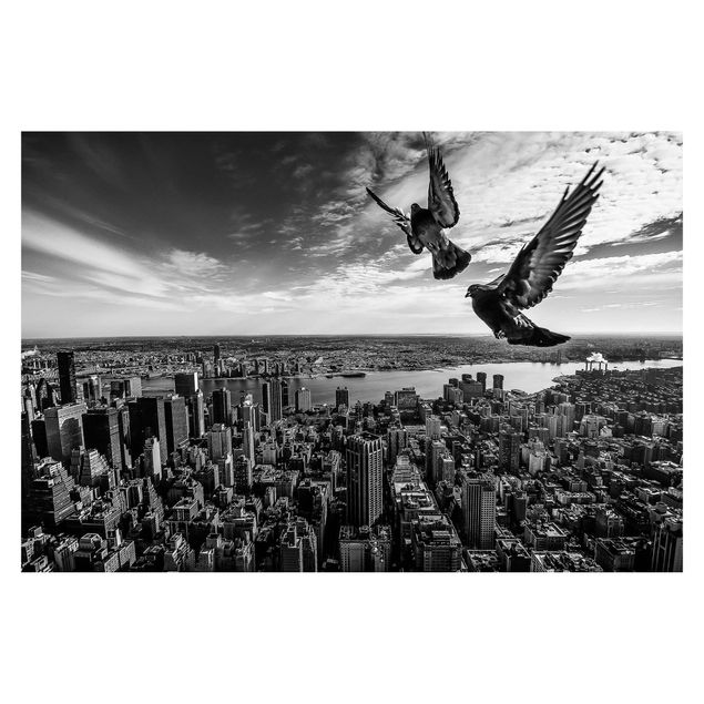 Papier peint panoramique Pigeons sur l'Empire State Building