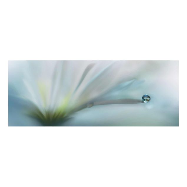 Tableau bleu Gouttes de rosée sur une fleur blanche