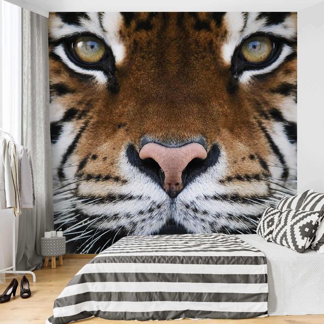 Papier peint animaux forêt Yeux de tigre