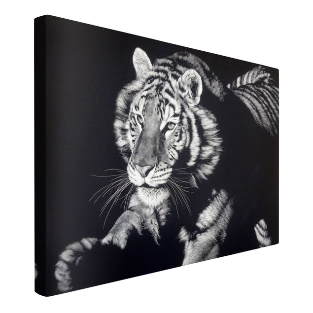 Tableaux sur toile en noir et blanc Tiger In The Sunlight On Black