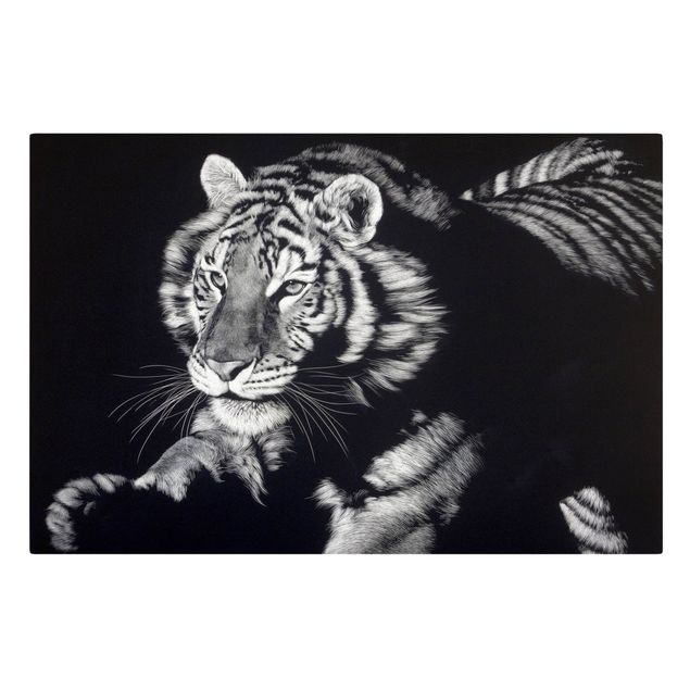 Tableaux moderne Tiger In The Sunlight On Black