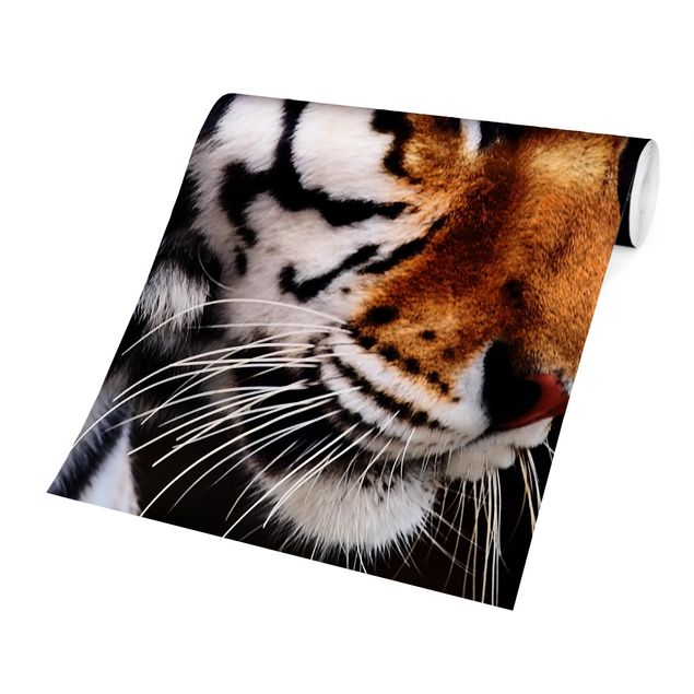 Tapisserie animaux Beauté du tigre
