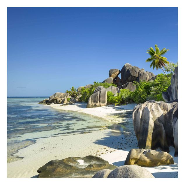 Tableaux de Rainer Mirau Dream Beach Seychelles