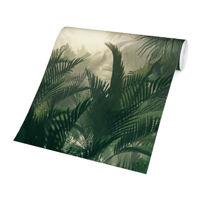 Papier peint vert Tropical Plants In Fog