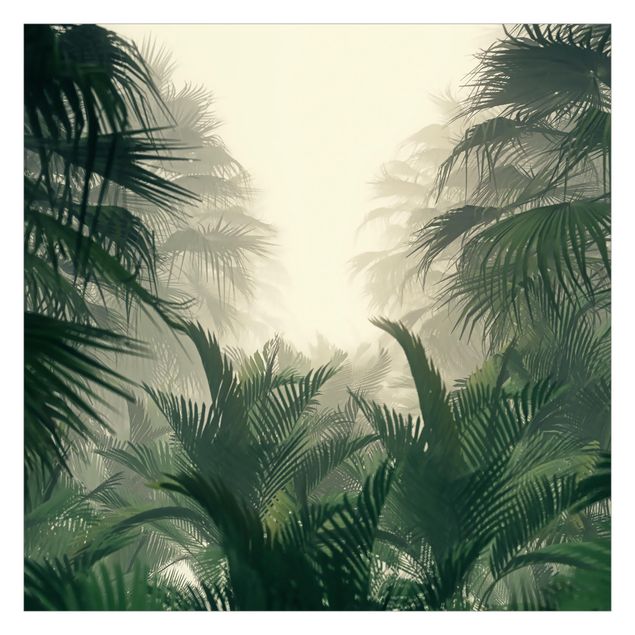 Papier peint panoramique Tropical Plants In Fog