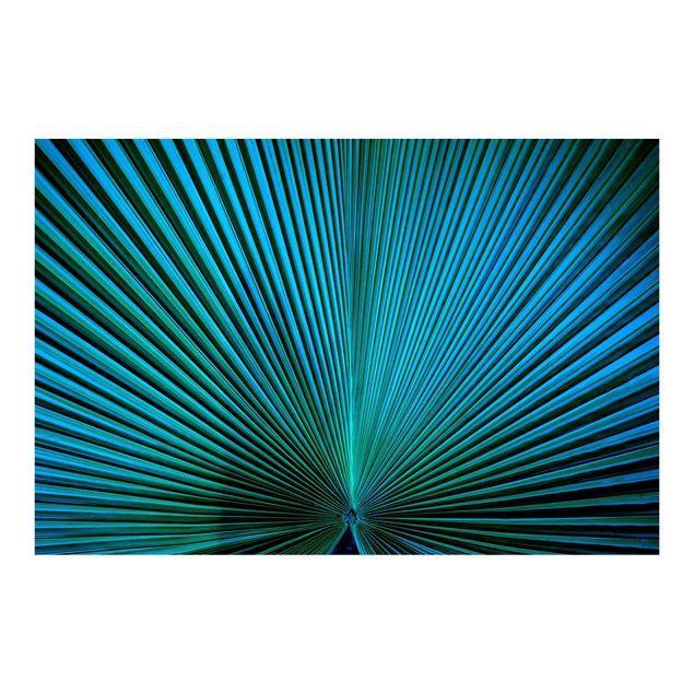 Papier peint panoramique Plantes Tropicales Palmier Feuille En Turquoise II