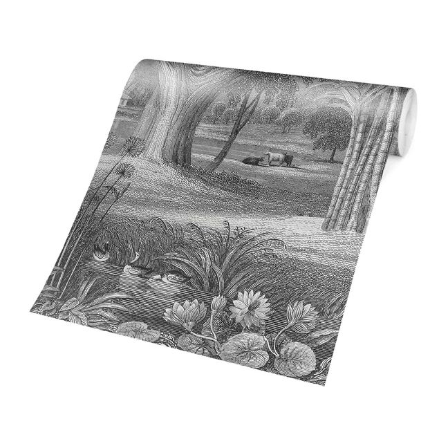 Papier peint gris Gravure tropicale en cuivre jardin avec étang, en gris