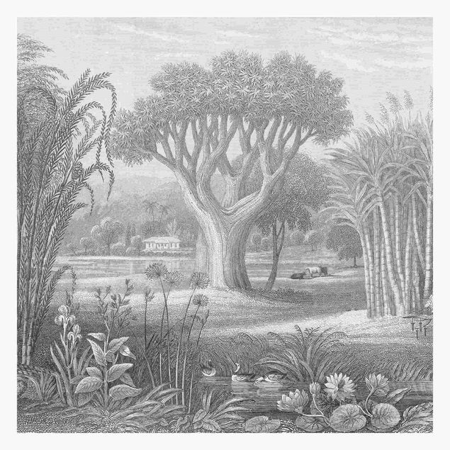 Papier peint panoramique Gravure tropicale en cuivre jardin avec étang, en gris