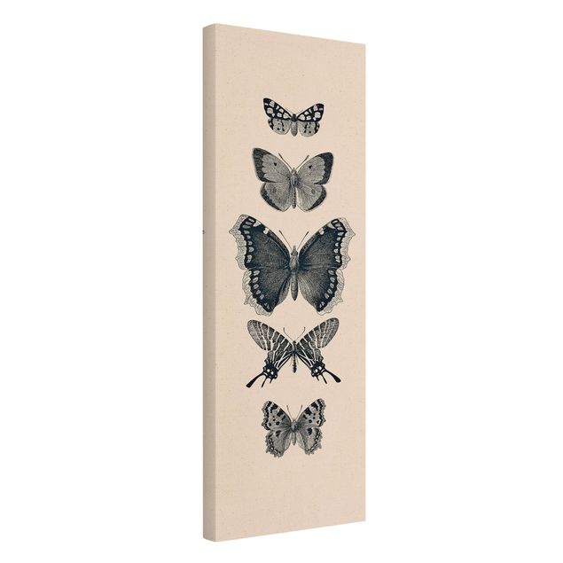 Tableau toile animaux Papillons à l'encre sur fond beige