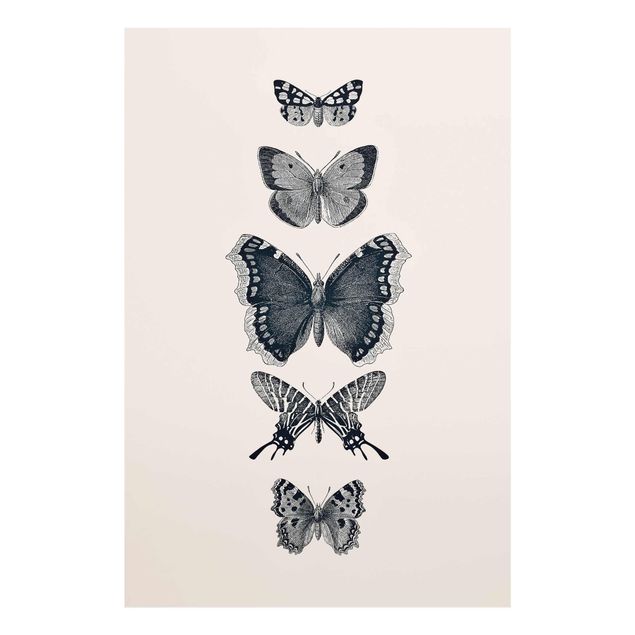 Tableau verre animaux Papillons à l'encre sur fond beige