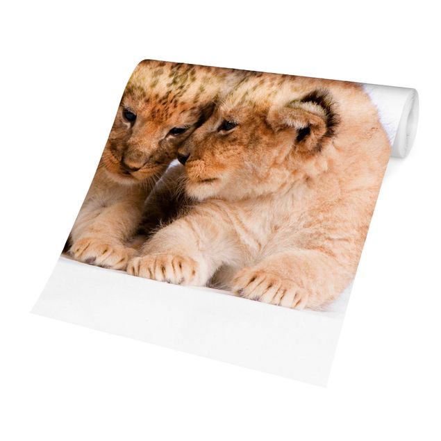 Papier peint - Two Lion Babys