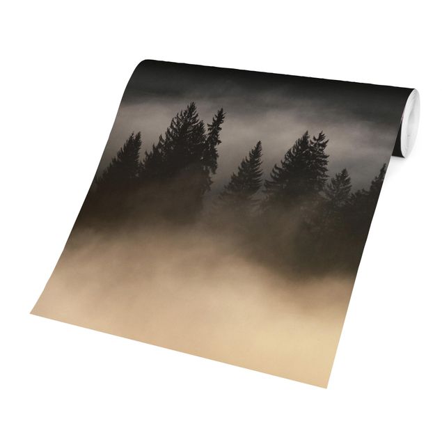 Papier peint noir Forêt brumeuse de rêve