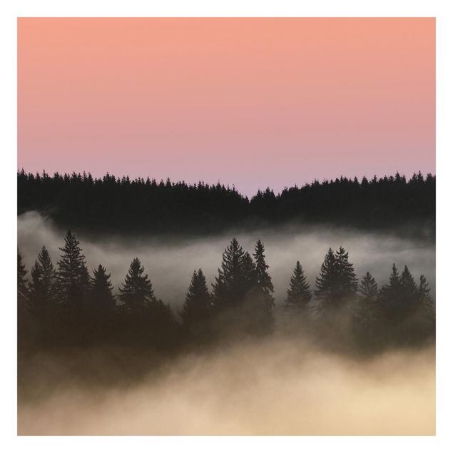 Papier peint panoramique Forêt brumeuse de rêve