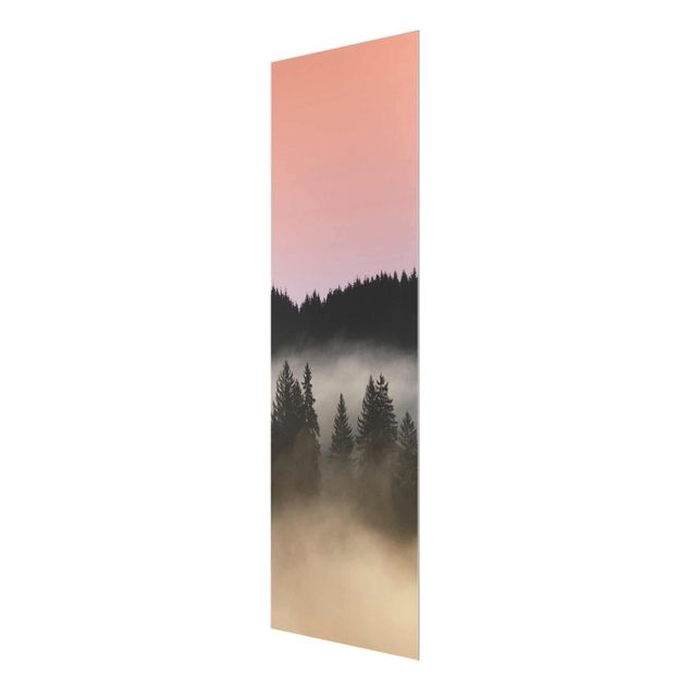 Tableau en verre paysage Forêt brumeuse de rêve