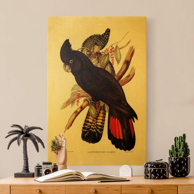 Tableaux oiseaux sur toile Illustration vintage Cacatoès Noir Noir et Or