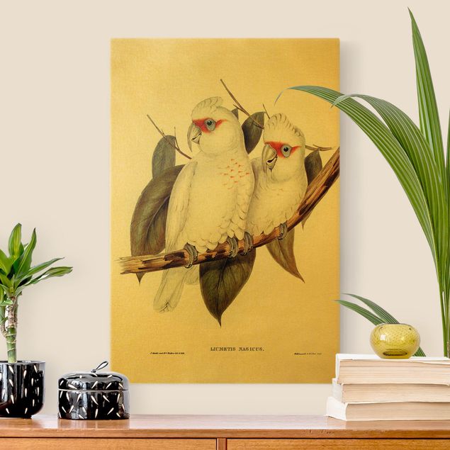 Tableaux oiseaux sur toile Illustration vintage Cacatoès Blanc
